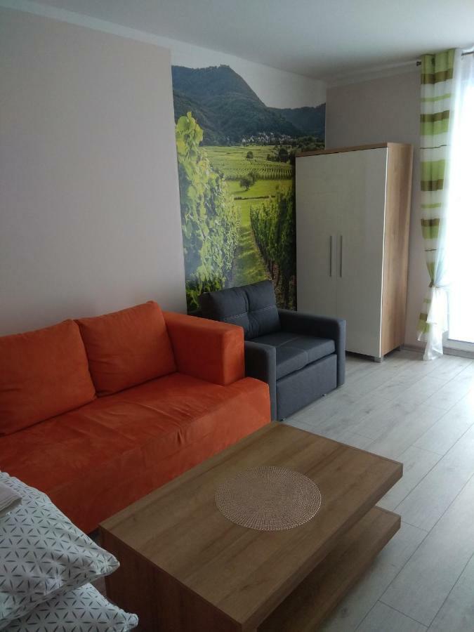 Apartament Winnica Centrum Zielona Góra Esterno foto